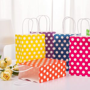 Printed Paper Gift Bag