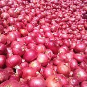 A Grade Nashik Red Onion
