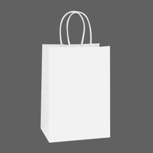 Plain White Paper Carry Bag